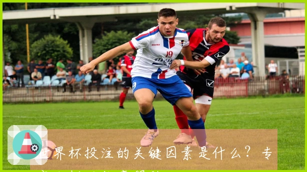 世界杯投注的关键因素是什么？专家分析助你赢得胜利
