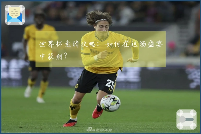 世界杯竞猜攻略：如何在这场盛宴中获利？