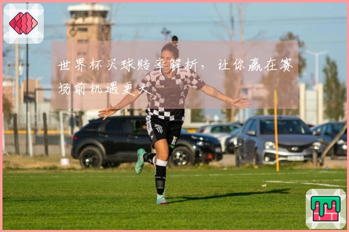 世界杯买球赔率解析，让你赢在赛场前机遇更大