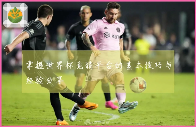 掌握世界杯竞猜平台的基本技巧与经验分享