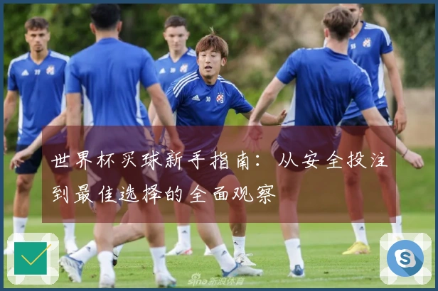 世界杯买球新手指南：从安全投注到最佳选择的全面观察