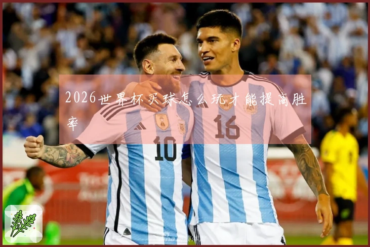 2026世界杯买球怎么玩才能提高胜率