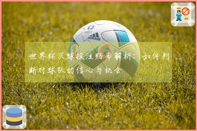 世界杯买球投注赔率解析：如何判断对球队的信心与机会