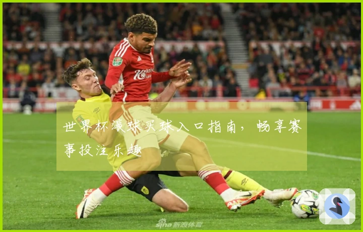 世界杯滚球买球入口指南，畅享赛事投注乐趣
