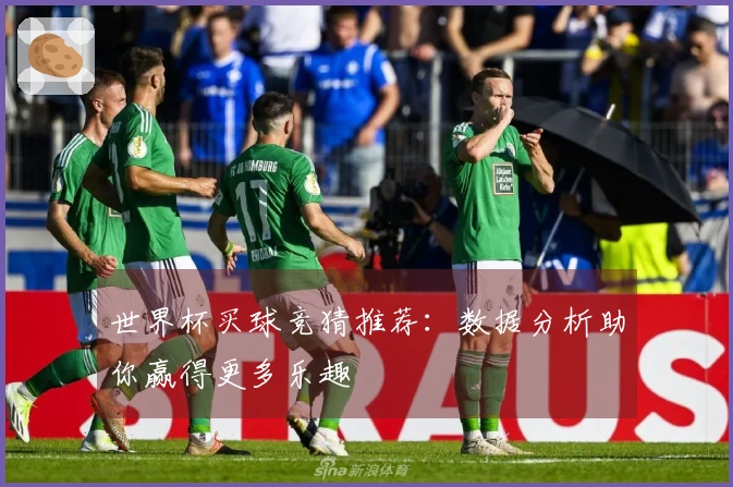 世界杯买球竞猜推荐：数据分析助你赢得更多乐趣