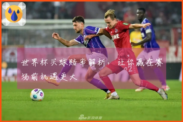 世界杯买球赔率解析，让你赢在赛场前机遇更大