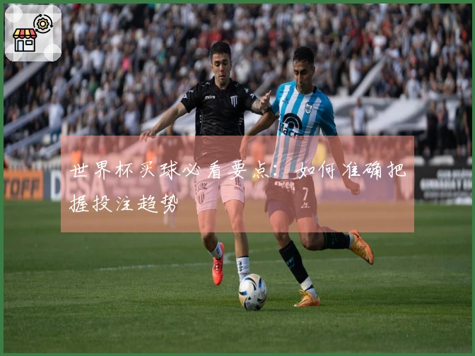 世界杯买球必看要点：如何准确把握投注趋势