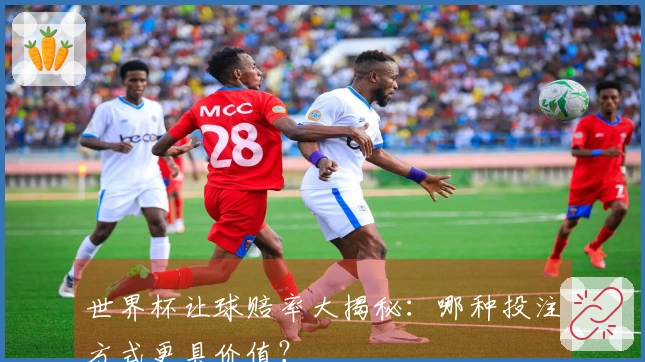 世界杯让球赔率大揭秘：哪种投注方式更具价值？