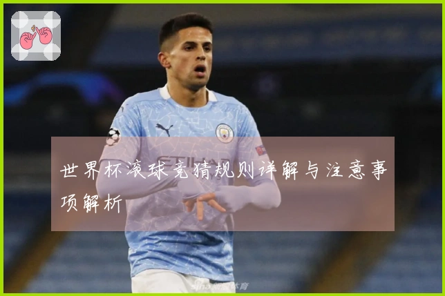 世界杯滚球竞猜规则详解与注意事项解析