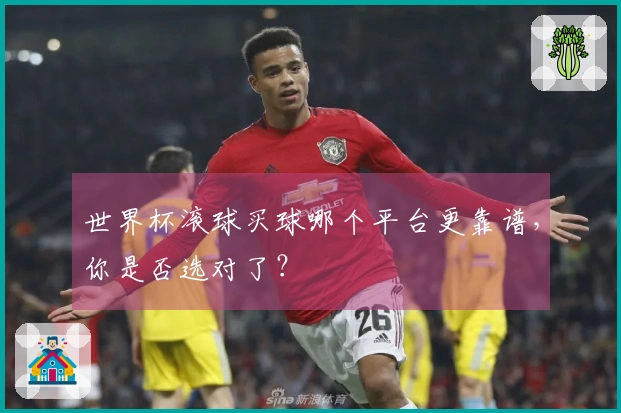 世界杯滚球买球哪个平台更靠谱，你是否选对了？