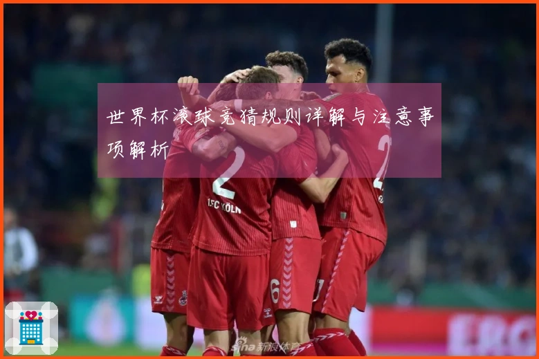 世界杯滚球竞猜规则详解与注意事项解析