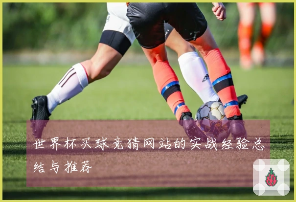世界杯买球竞猜网站的实战经验总结与推荐
