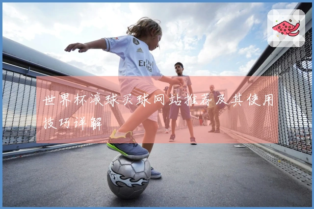 世界杯滚球买球网站推荐及其使用技巧详解