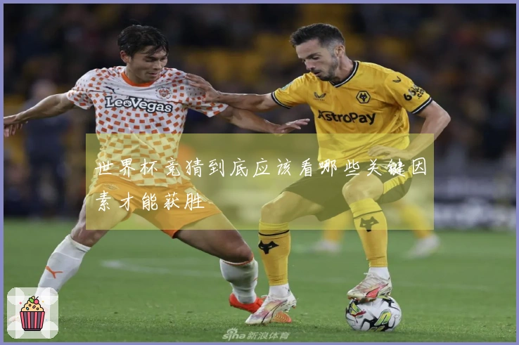 世界杯竞猜到底应该看哪些关键因素才能获胜