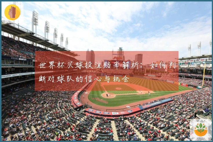 世界杯买球投注赔率解析：如何判断对球队的信心与机会