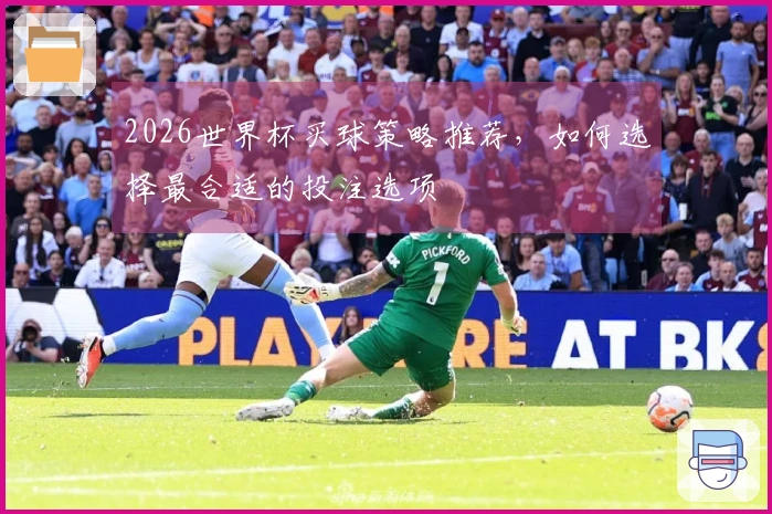2026世界杯买球策略推荐，如何选择最合适的投注选项