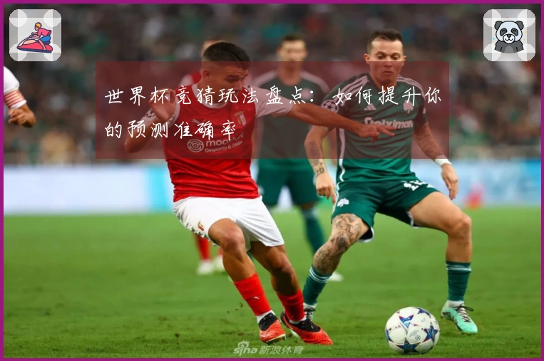 世界杯竞猜玩法盘点：如何提升你的预测准确率