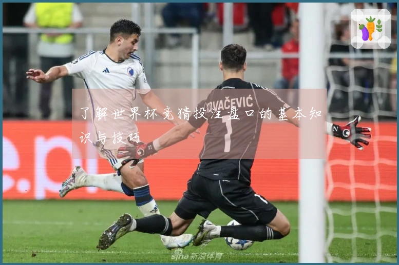 了解世界杯竞猜投注盘口的基本知识与技巧