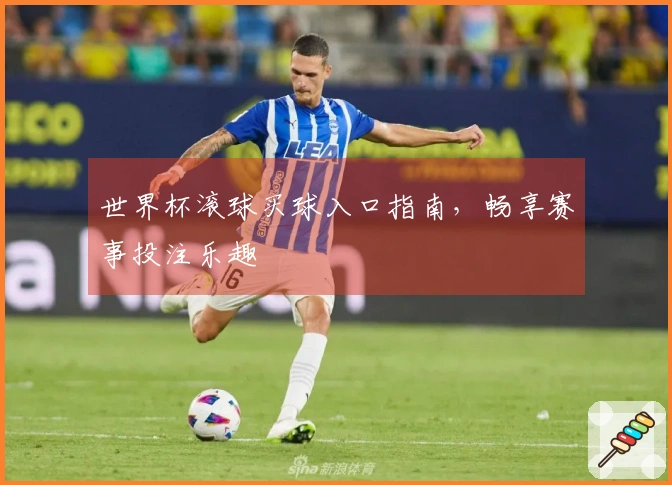 世界杯滚球买球入口指南，畅享赛事投注乐趣