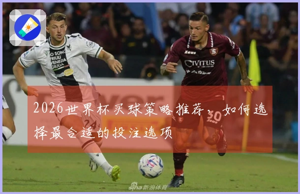 2026世界杯买球策略推荐，如何选择最合适的投注选项