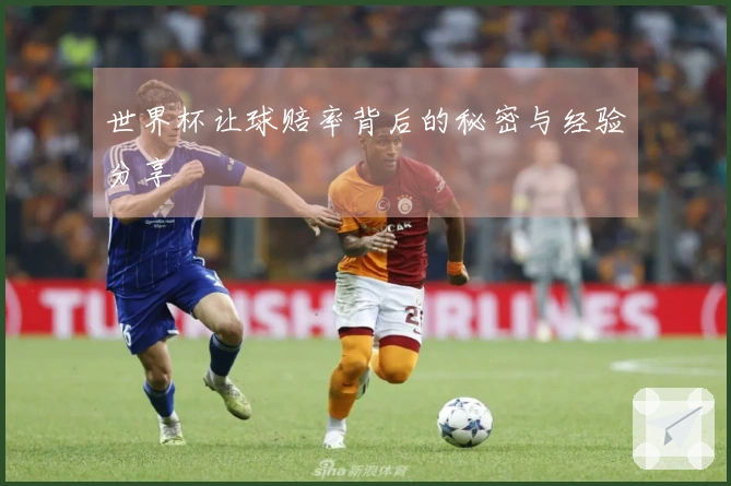 世界杯让球赔率背后的秘密与经验分享