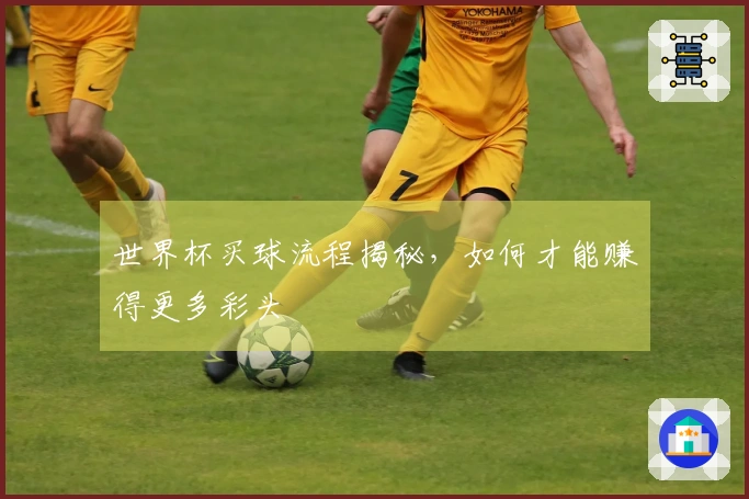 世界杯买球流程揭秘，如何才能赚得更多彩头