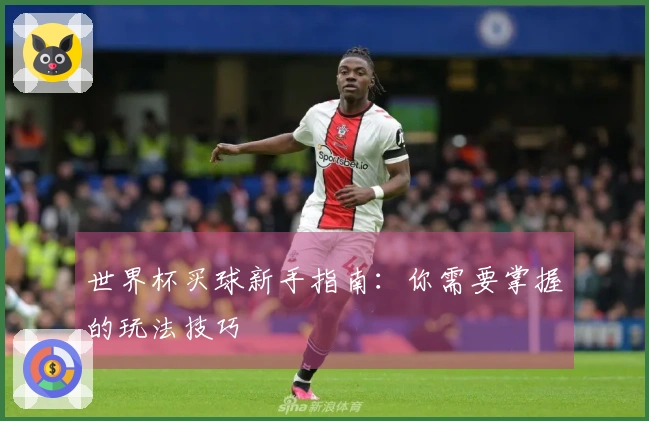 世界杯买球新手指南：你需要掌握的玩法技巧